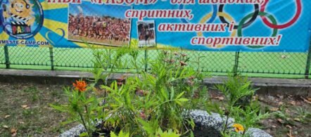 корпус лісовий територія