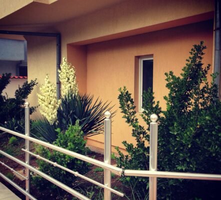 корпус Лазурний територія